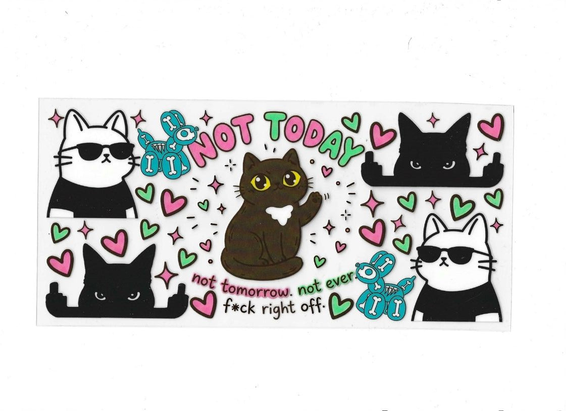 Not today-Naughty Cat