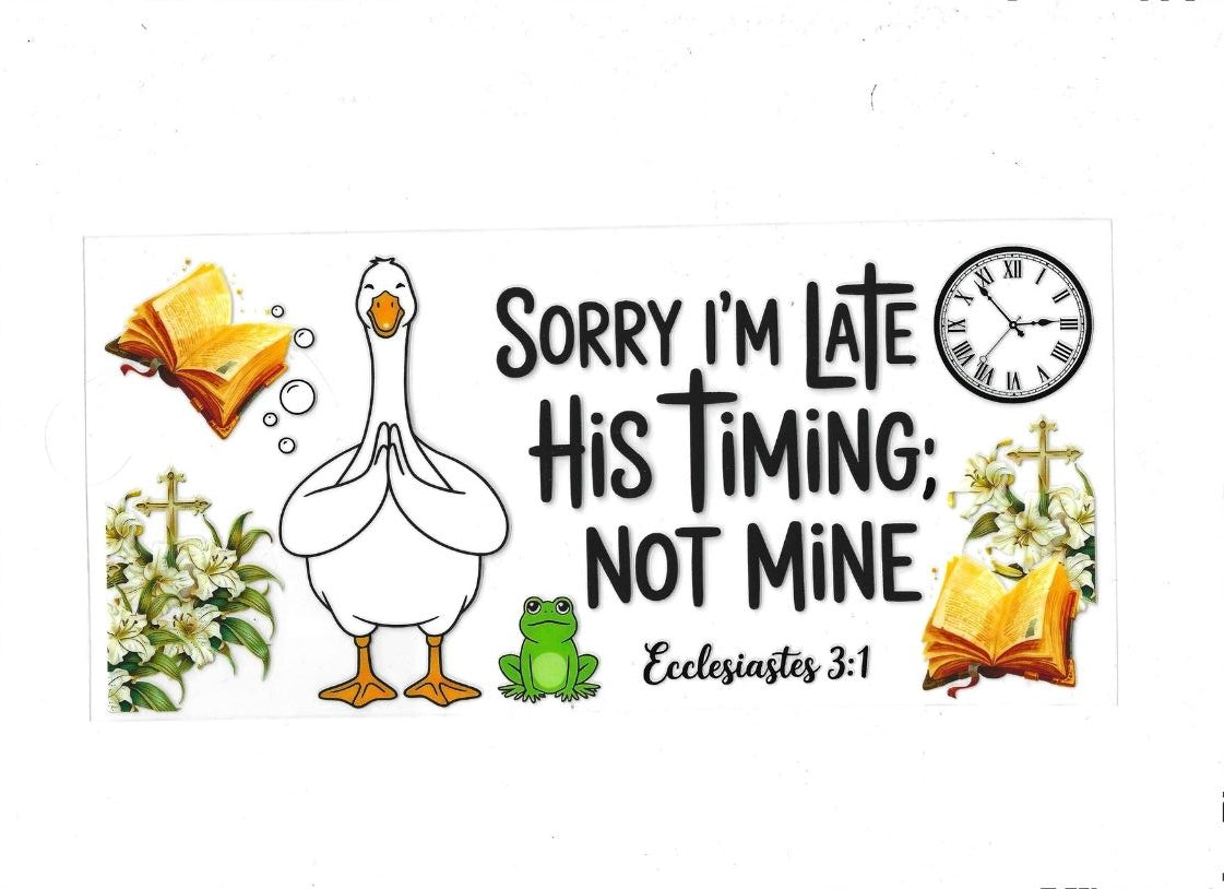 His Timing - Goose