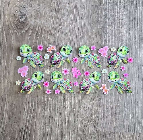 Turtle 4